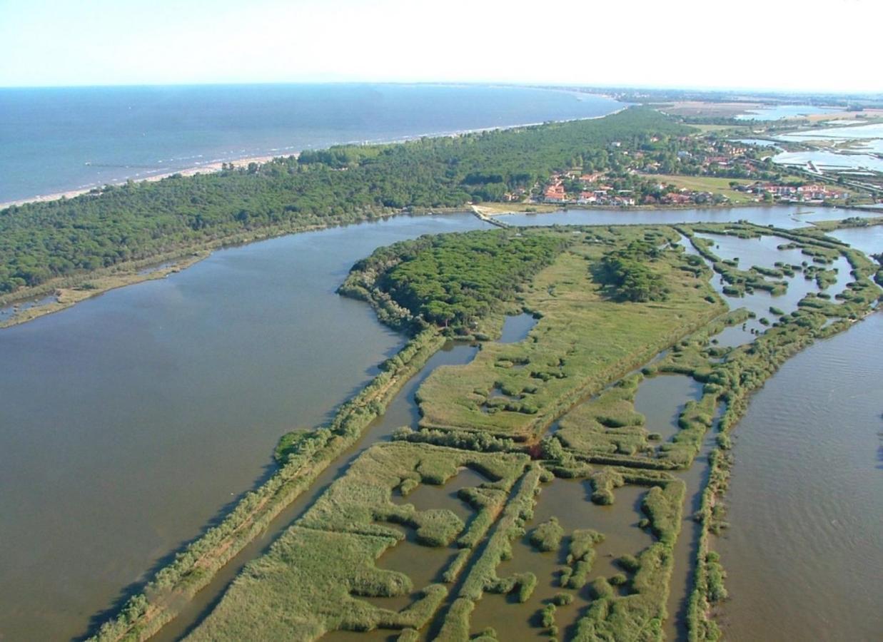 Peaceful Flat With Direct Beach Access Rosolina Mare Eksteriør billede